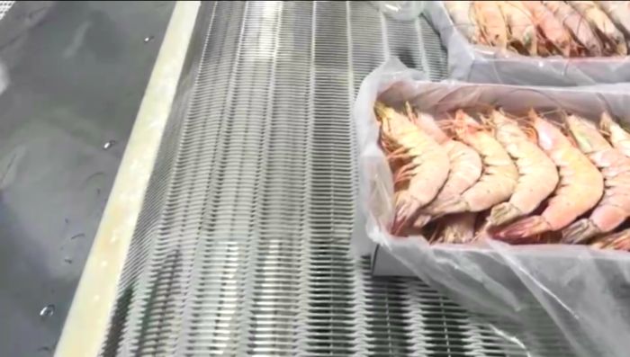 江蘇食品網帶廠家分析上海迪士尼禁止游客自帶飲食