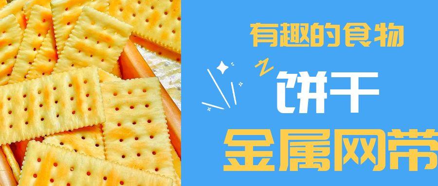 【有趣的食物】餅干到底用到多少金屬網(wǎng)帶？