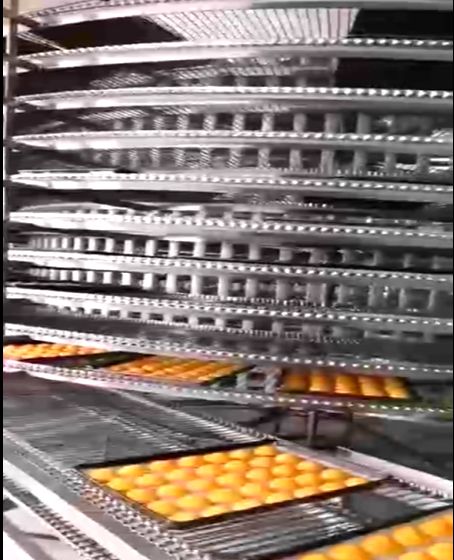 金屬輸送帶 金屬輸送帶