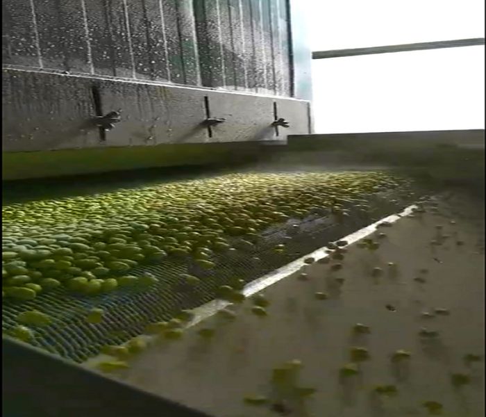 金屬網帶生產廠家